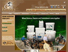 Tablet Screenshot of corebalanceus.com
